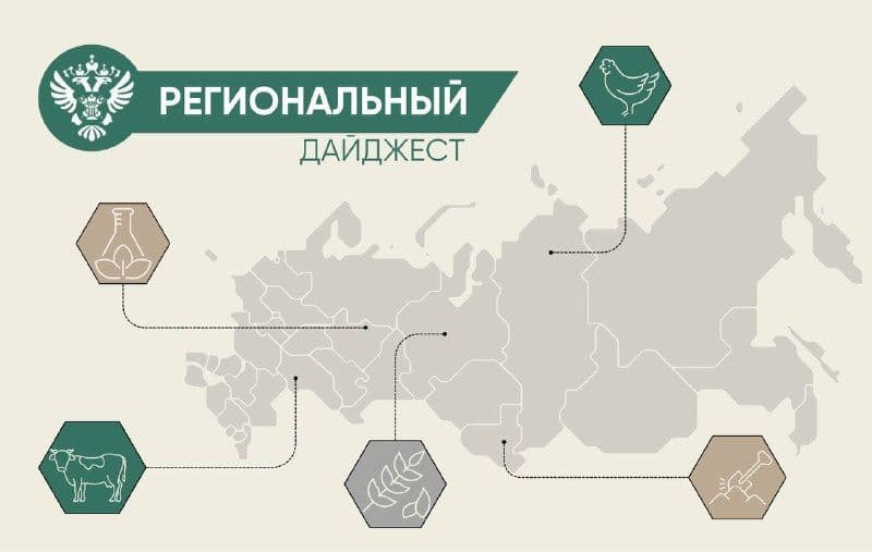 В нашей постоянной рубрике рассказываем о деятельности Россельхознадзора в регионах.