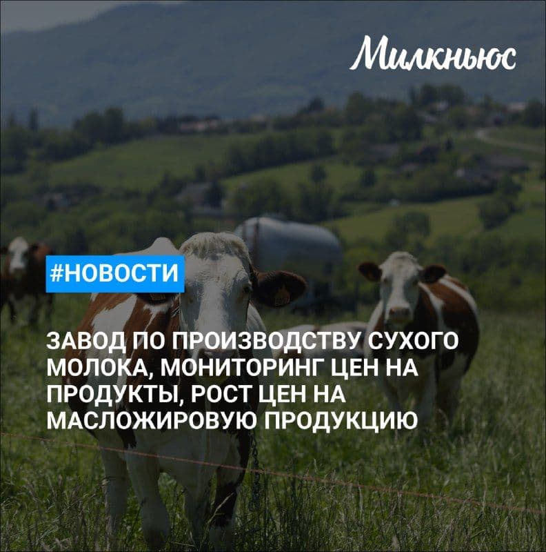 В Омске построят завод по производству сухого молока за 490 млн руб.
