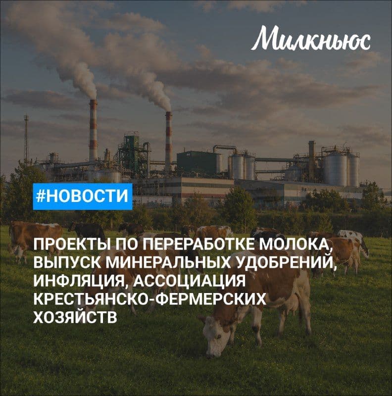 В Подмосковье в реализацию 11 проектов по переработке молока вложат более 65 млрд руб.