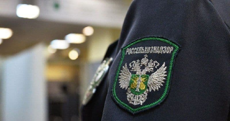 В школах Карелии обнаружили мясные продукты без маркировки и сопроводительных документов