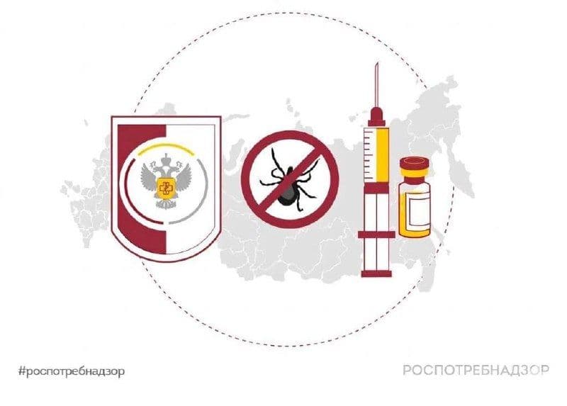 ℹ В связи с распространением в СМИ некорректного термина «наноклещи» Роспотребнадзор информирует