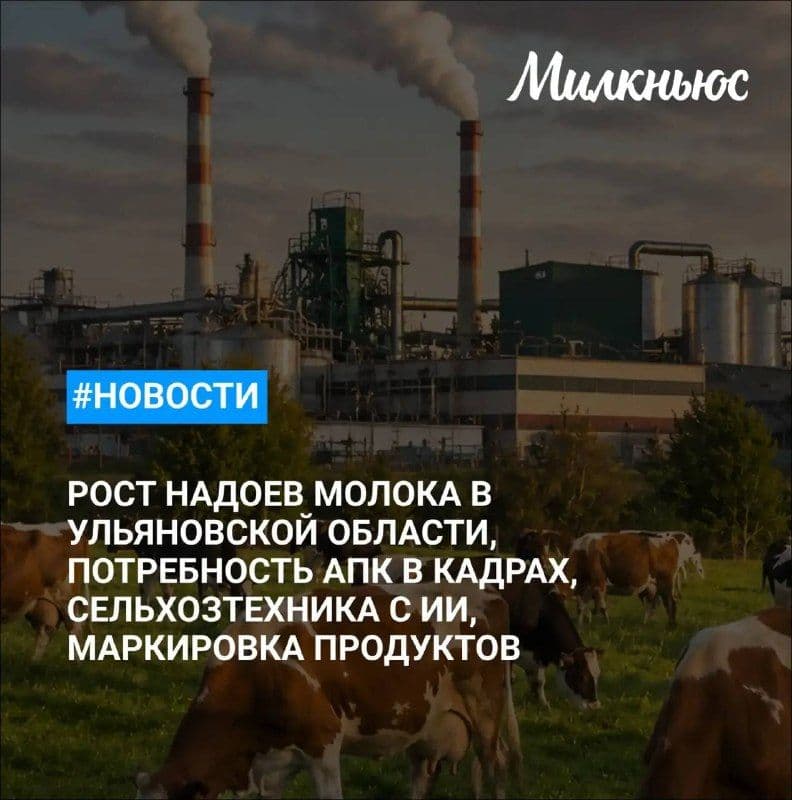 В Ульяновской области выросли надои молока на 2,6%