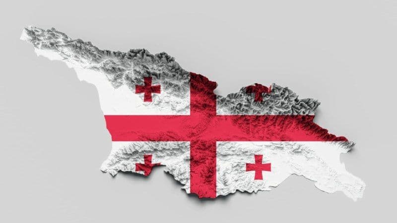 За восемь месяцев экспорт российской свинины в Грузию сократился на 45%