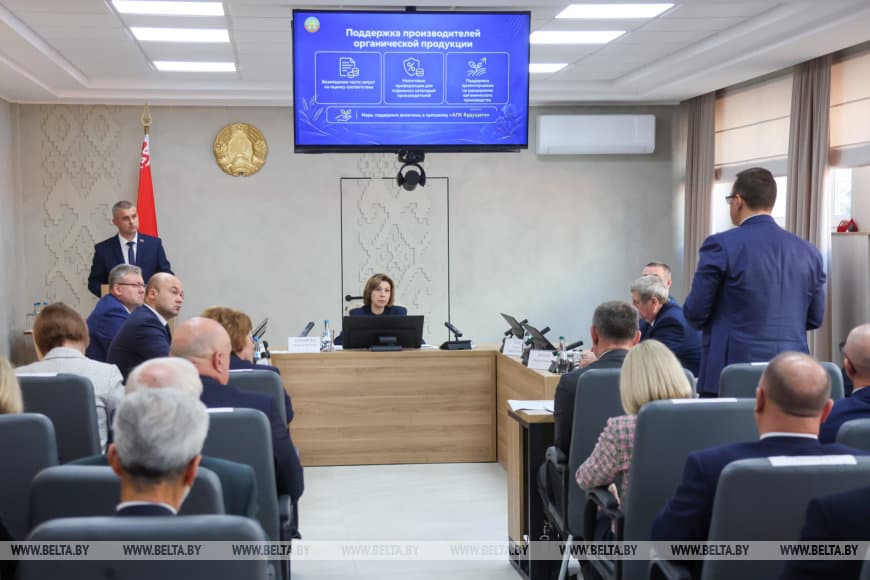 У Беларуси значительный потенциал в производстве продуктов для здорового питания — Кочанова