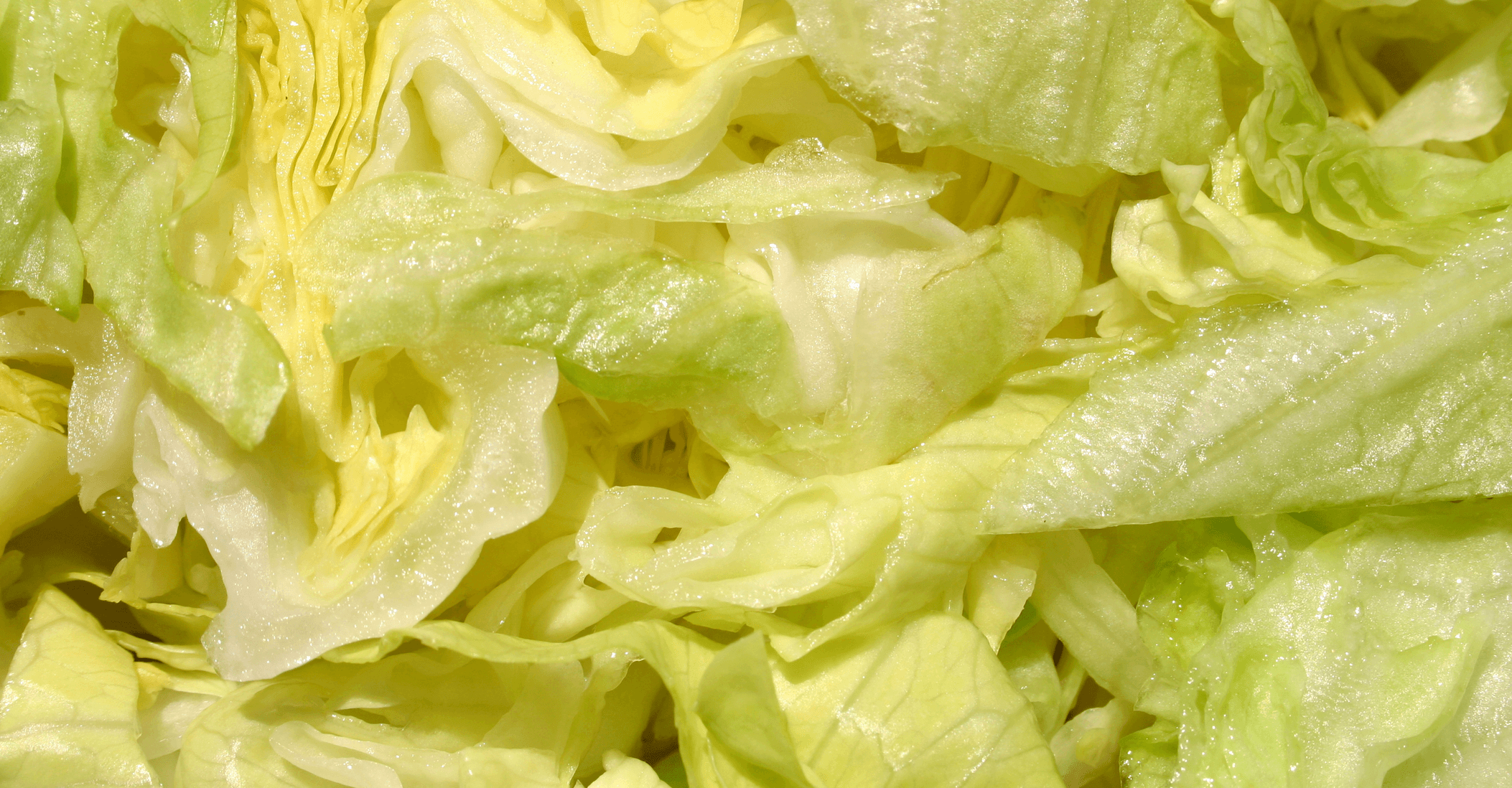 Outbreak of infections from Cyclospora parasite reaches 41 states