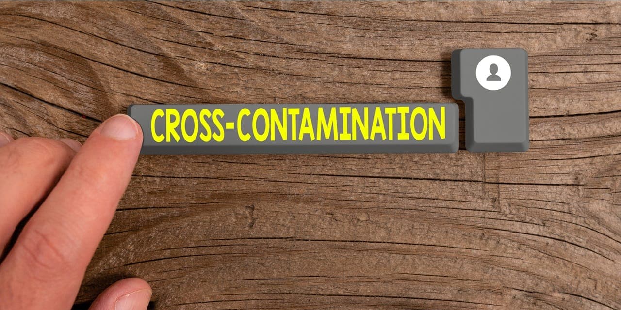 Eggs blamed in Chinese Salmonella outbreak