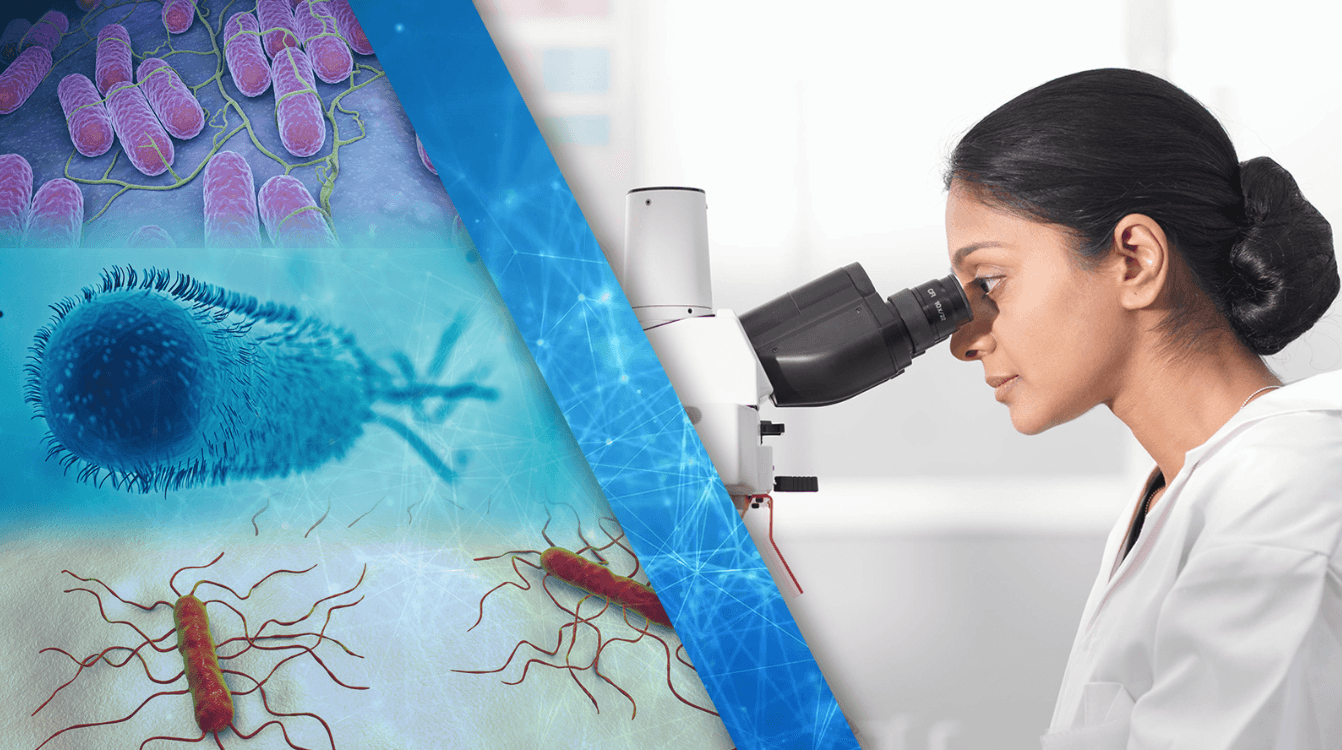 FDA tracking 17 active outbreaks