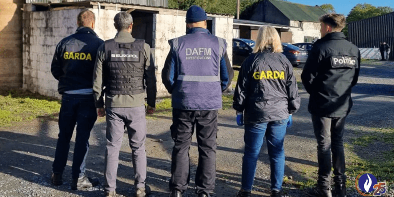 Belgium leads horse meat fraud investigation