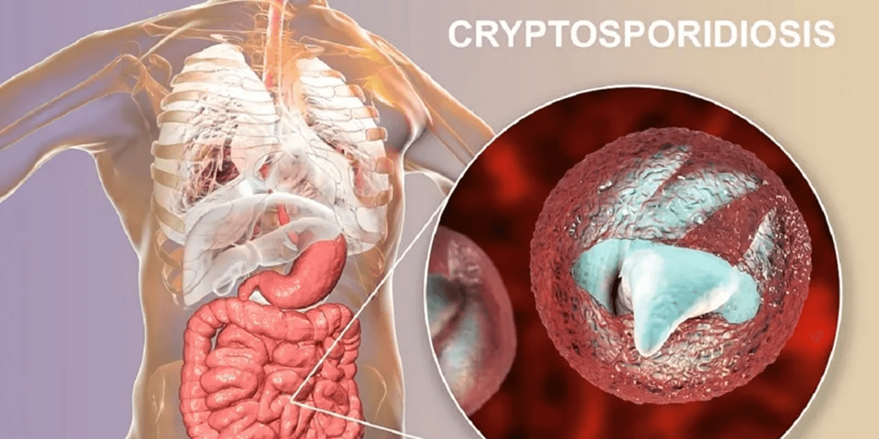 EU axes Cryptosporidium from disease list