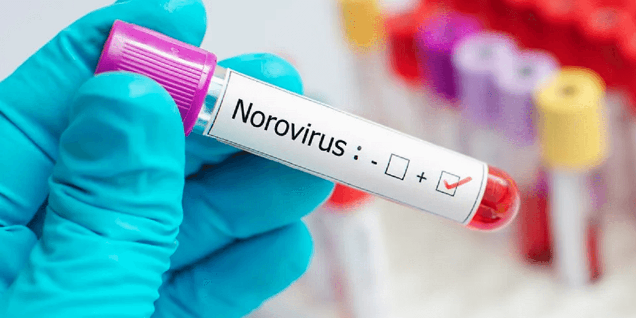 Source of Belgian norovirus outbreak remains unknown