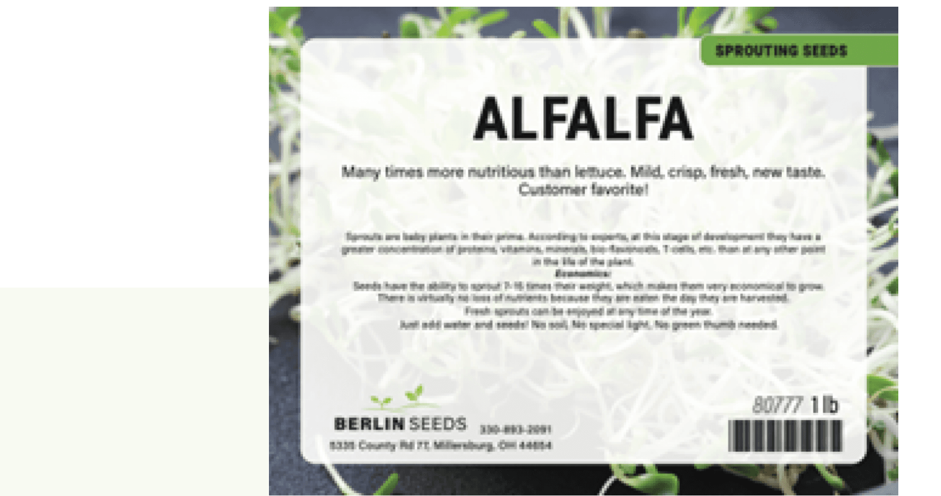Sprouting seeds recalled because of link to outbreak