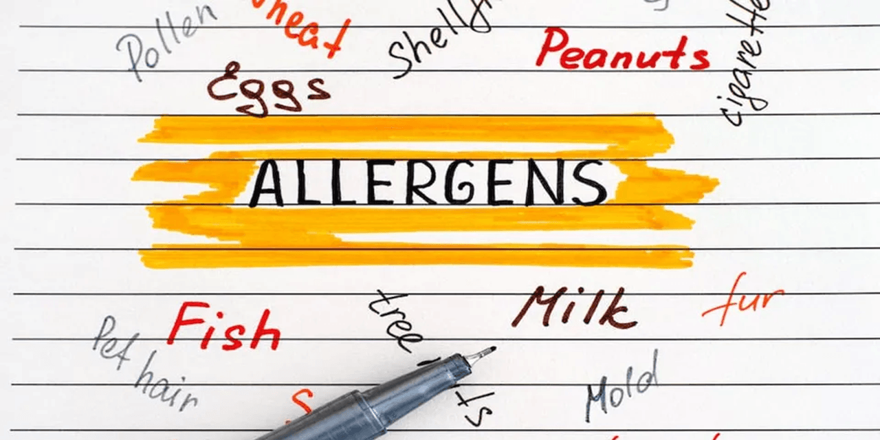Renewed calls for UK allergen ratings after girl’s death