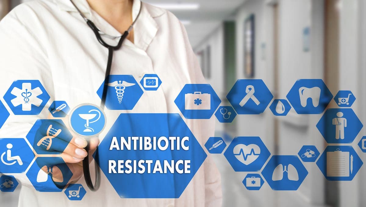 Researchers assess antimicrobial resistance in Salmonella