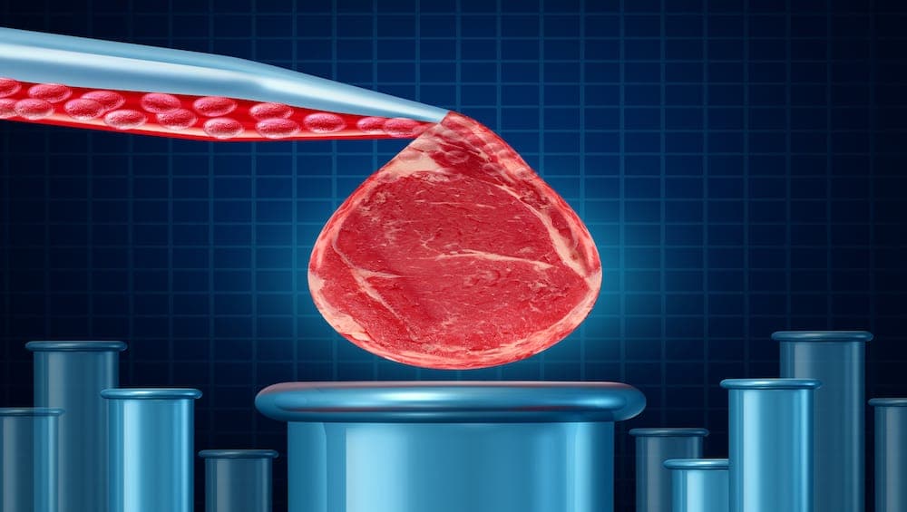 Sunday Edition: Cultivated meat